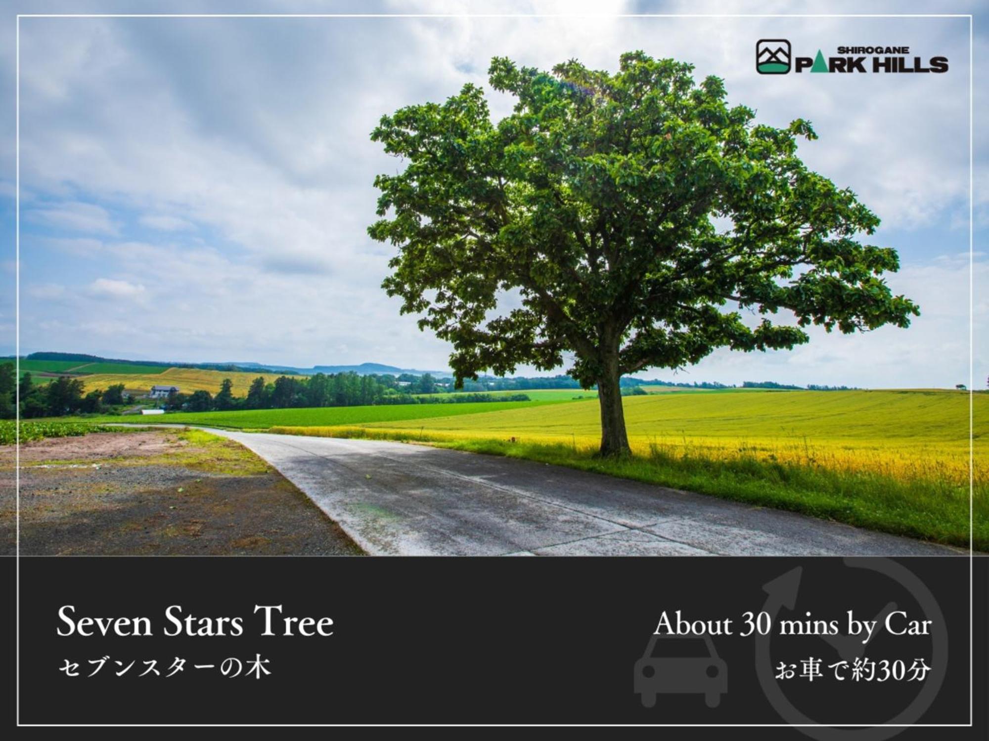 Biei Shirogane Onsen Hotel Park Hills Kültér fotó