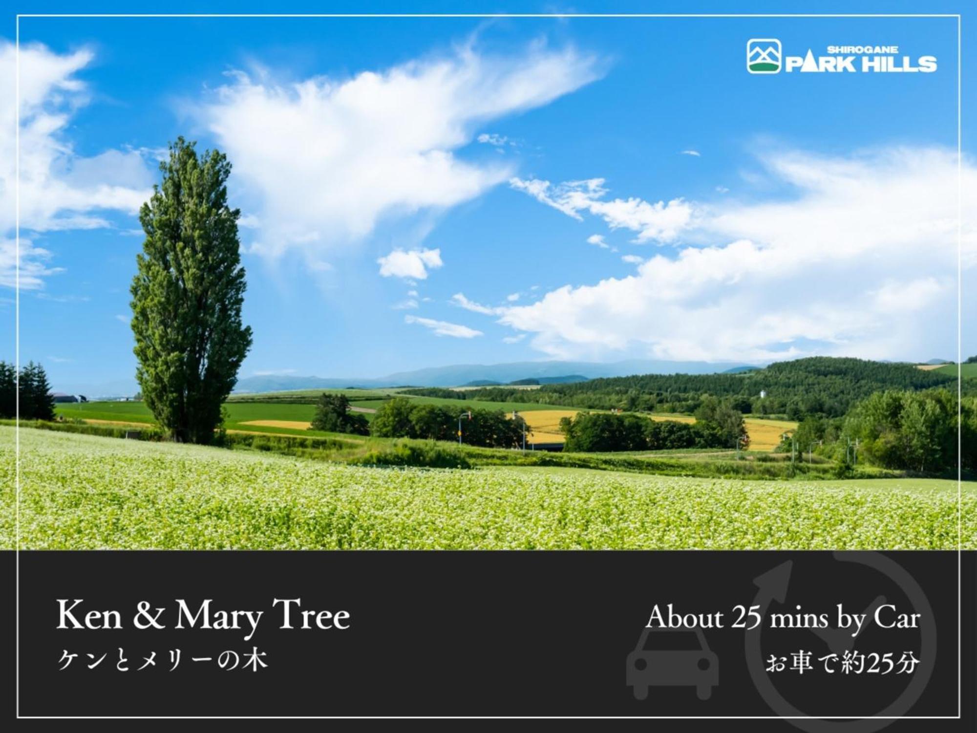 Biei Shirogane Onsen Hotel Park Hills Kültér fotó